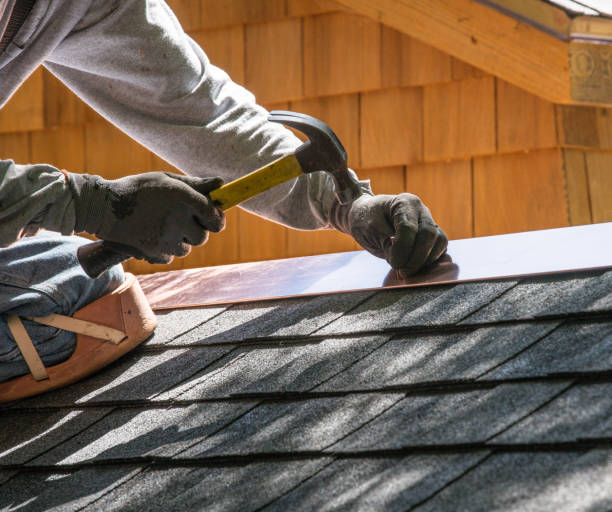 Best Metal Roofing Contractor  in Cicero, IN